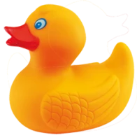 WEBP