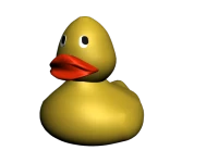 WEBP