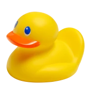 WEBP
