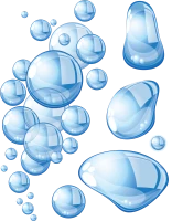 WEBP