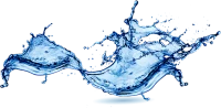 WEBP