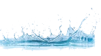 WEBP
