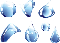 WEBP