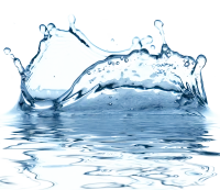 WEBP