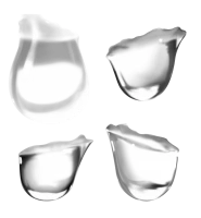 WEBP