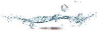 WEBP