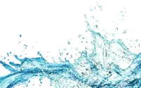 WEBP