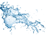 WEBP