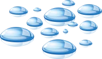 WEBP