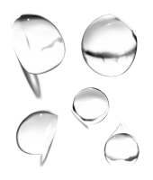 WEBP