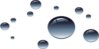 WEBP