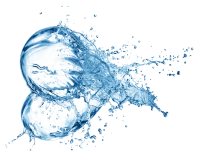 WEBP