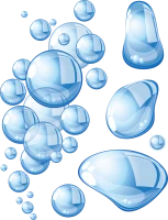 WEBP