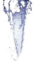 WEBP