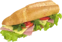 WEBP
