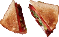 WEBP