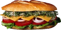 WEBP