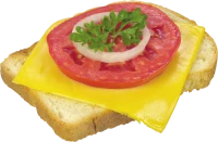 WEBP