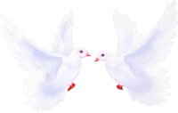 WEBP