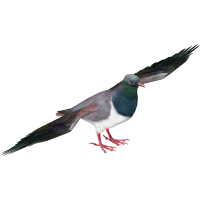WEBP