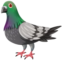 WEBP