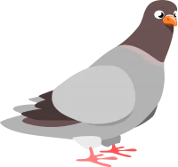 WEBP