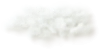 WEBP