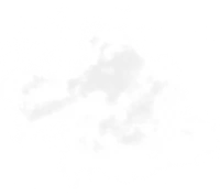 WEBP