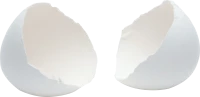 WEBP
