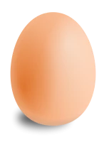 WEBP