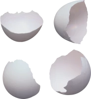 WEBP