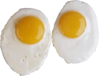WEBP