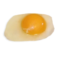 WEBP