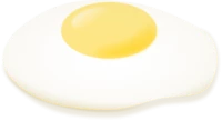 WEBP