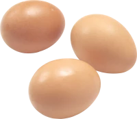 WEBP