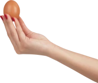 WEBP