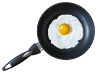 WEBP