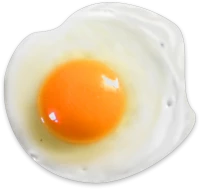 WEBP