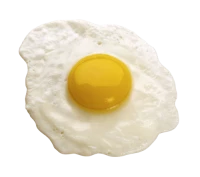 WEBP