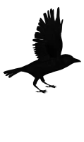WEBP