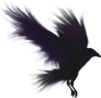 WEBP
