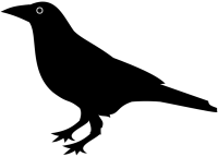 WEBP