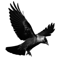WEBP