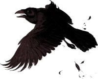 WEBP