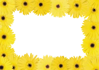 WEBP