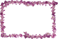 WEBP
