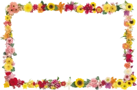 WEBP