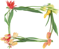 WEBP