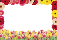 WEBP