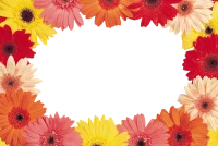 WEBP
